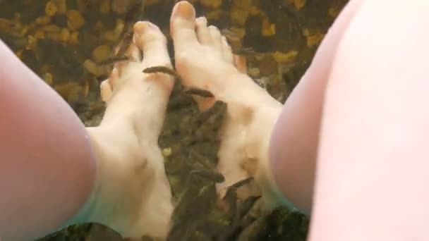 Visão superior em pés na água onde descascando com peixe. Pedicure de peixe por garra rufa peixes. Cuidado com os pés com descascamento natural e massagem. Cuidados com a pele ritual spa — Vídeo de Stock