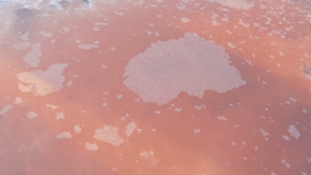 Złoża soli białej w fabryce ekstrakcji różowego jeziora solnego Sivash w obwodzie chersońskim, Ukraina — Wideo stockowe