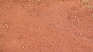 Krivoy Rog, Ukrayna 'daki bir madende kırmızı demir cevheri.