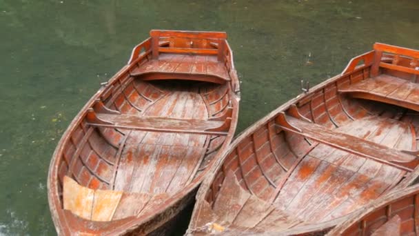 Деревянные лодки для прогулок по озеру, пустые без людей у берега на невероятно красивом озере с туманной утренней дымкой. Горный пруд озеро Биоргад в Национальном парке Биоградска-Гора, Черногория — стоковое видео