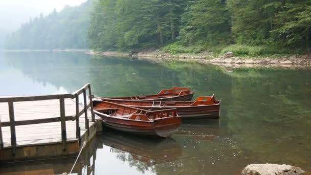 Barcos de madeira para caminhadas no lago, vazios sem pessoas perto da costa em um lago incrivelmente bonito com uma névoa matinal enevoada. Lago Biorgad no Parque Nacional Biogradska Gora, Montenegro — Vídeo de Stock