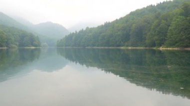 Sisli bir sabah sisi ile inanılmaz güzel bir göl. Karadağ 'ın Biogradska Gora Ulusal Parkı' ndaki Biorgad Gölü 'nde ilginç bir karanlık su göleti