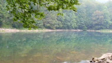 Sisli bir sabah sisi ile inanılmaz güzel bir göl. Karadağ 'ın Biogradska Gora Ulusal Parkı' ndaki Biorgad Gölü 'nde ilginç bir karanlık su göleti