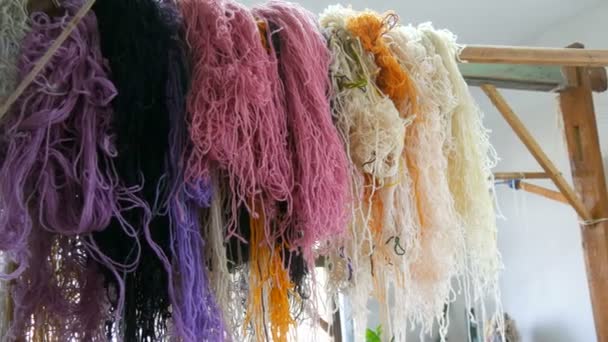 Um grande número de fios de lã diferentes. Bordado de tapete artesanal — Vídeo de Stock