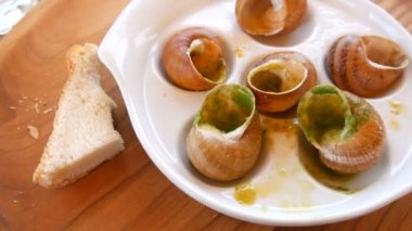 Restoranda özel bir tabakta soslu salyangoz yedi. Pahalı ve sağlıklı yiyecekler, boş kabuklar.