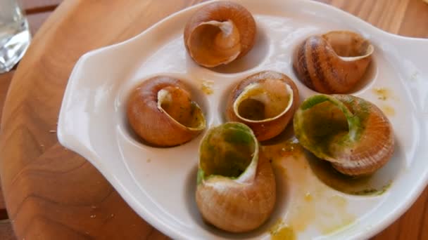 Eet slak schotel in saus op een speciaal bord in een restaurant. Duur en gezond voedsel, lege schelpen — Stockvideo