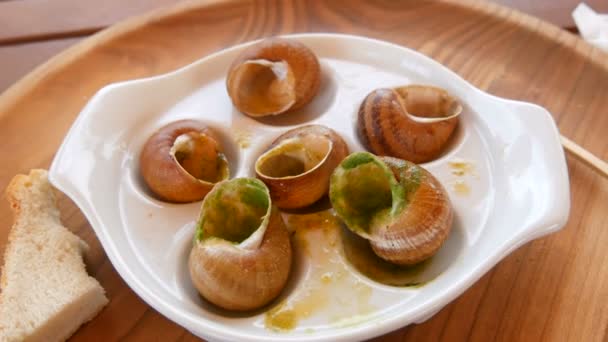 Eet slak schotel in saus op een speciaal bord in een restaurant. Duur en gezond voedsel, lege schelpen — Stockvideo