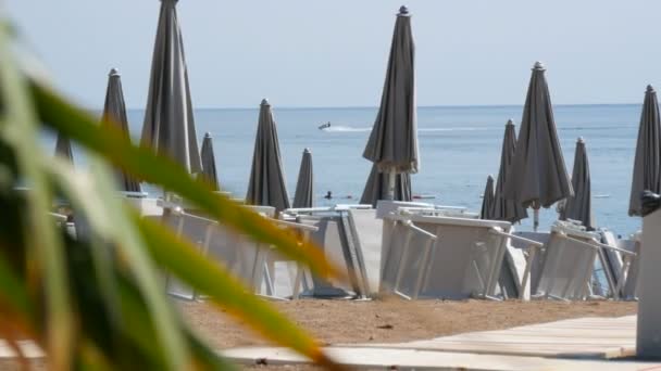 Tomma stranden på kusten av en badort, ensamma solstolar och nära grå strand parasoller, slet bort badorten på grund av covid 2019, coronavirus, karantän, Adriatiska havet, Montenegro — Stockvideo