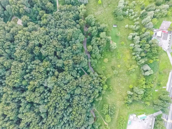 Suburban park and glade. Suburban landscape suburbs