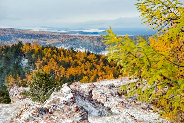 Autumnal nature on Lake Baikal. Landscape and flora of Baikal