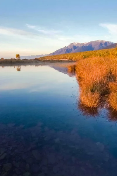 Autumnal nature on Lake Baikal. Landscape and flora of Baikal