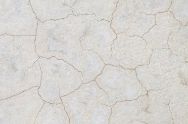 Beton ya da alçı duvar boyunca, kuru, yaş ve doğal çürümeyi sembolize eden karmaşık, ağ benzeri ince çatlaklar.