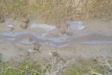 Bu detaylı görüntü, sıcak, sarımsı kahverengi renkler ve kuru toprağın sert dokusunu küçük kayalarla karıştırıyor, doğal arka planlar için mükemmel..