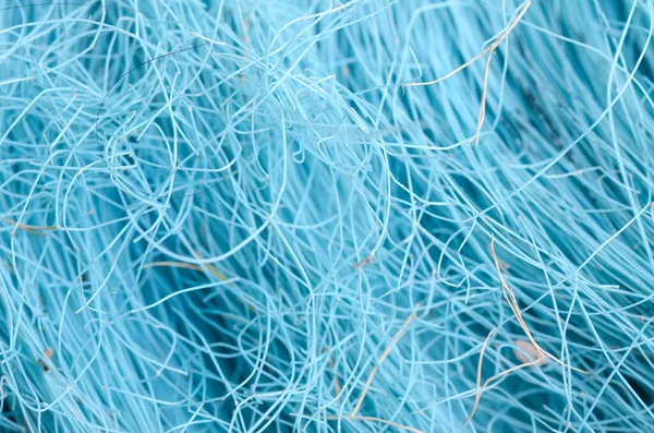 Bu soyut görüntü, çerçeveyi dolduran canlı ve dinamik dokuyu vurgulayan ince mavi liflerden oluşan yoğun ve dağınık bir ağ sergiliyor..