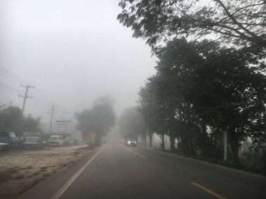 Sis Ağacı Yolu/Orman yolu sisle çevrili