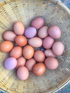 Bambu sepetinde taze organik yumurta