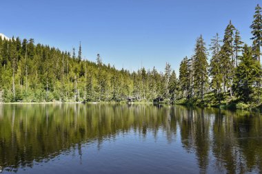 Prasily Lake, Çek Cumhuriyeti'nde doğal göl Sumava dağlarda bulunur