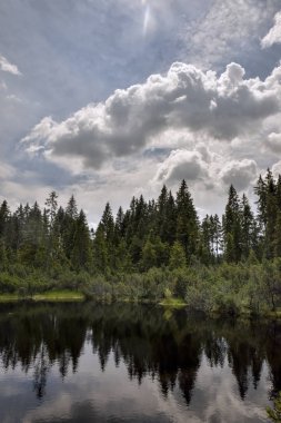 Sumava bataklık ve göl WITK gökyüzünde