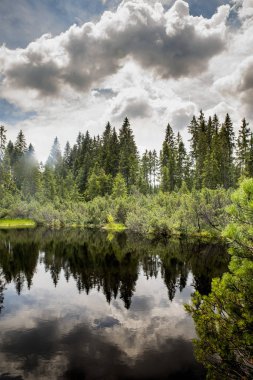 Sumava bataklık ve göl WITK gökyüzünde