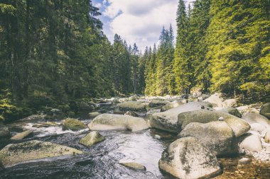 Sumava dağlarındaki Vydra nehri