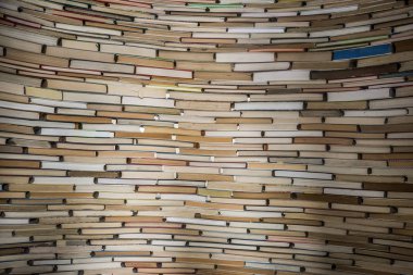 Çek Cumhuriyeti Prag kitaplığındaki kitap