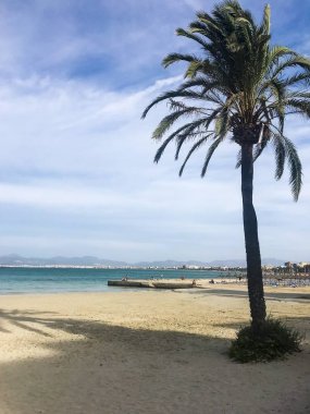 Palma-De-Mallorca plajı