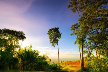 Açık mavi gökyüzünde ulusal parktaki çadırı olan kamp alanı manzarası.