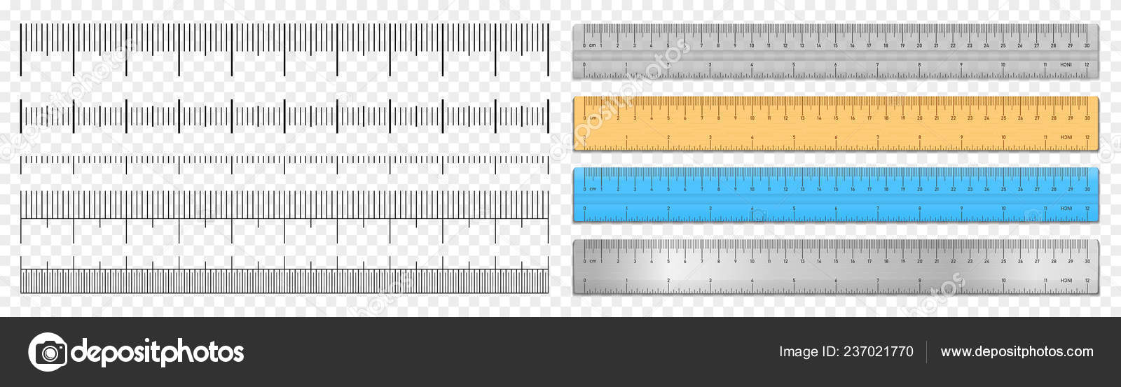 Scale Measurement Chart