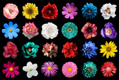 Mega paket doğal ve gerçeküstü mavi, turuncu, kırmızı, turkuaz, y