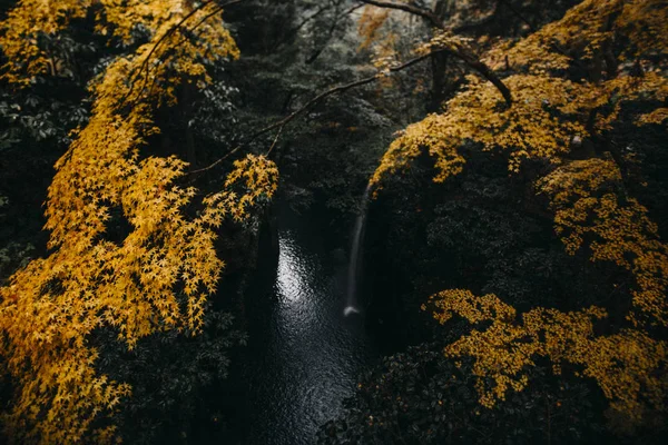 Padar Island Komodo Labuan Bajo, Endonezya