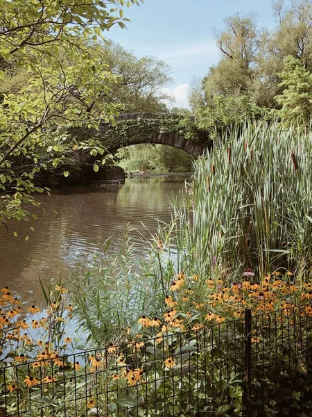 Beautiful Landscape City Park Cozy Scene Stone Bridge Trees Reeds — Stock Photo, Image
