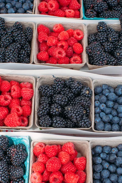 Organic fresh berries in a small blue carton boxes. Picking berry at American farm. Selling fresh juicy raspberries, blackberries at the farmers market. Healthy food concept.