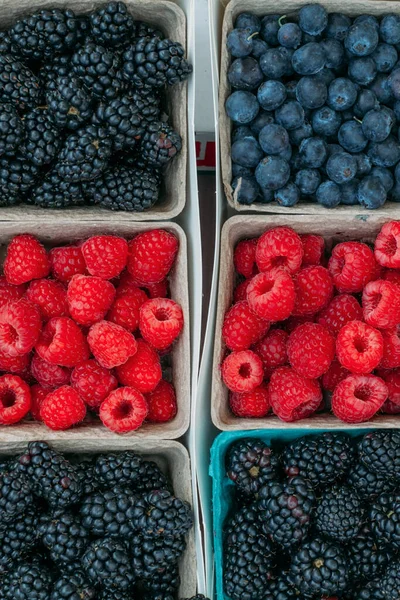 Organic fresh berries in a small blue carton boxes. Picking berry at American farm. Selling fresh juicy raspberries, blackberries at the farmers market. Healthy food concept.