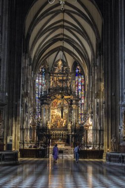 Aziz Petrus Katedrali, iç görünüm, Viyana, Avusturya. 