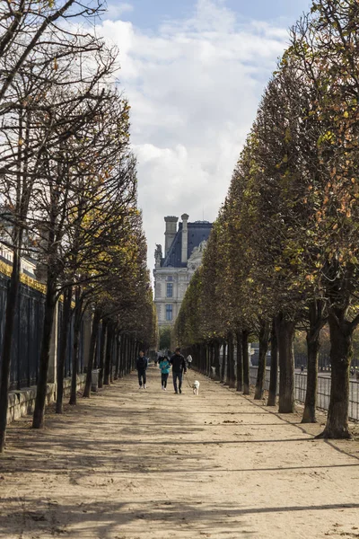 Tuileries Garden Párizsban Ősz — Stock Fotó