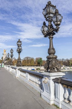 Pont Alexandre III, dikey görünüm