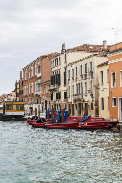 베네치아의 — 스톡 사진