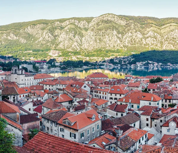 Kilátás Felülről Régi Történelmi Város Kotor Narancssárga Cseréptetővel Reggel Montenegró — Stock Fotó