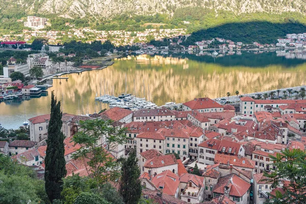 View Old Historical City Kotor Orange Tiling Roofs Morning Time — 스톡 사진
