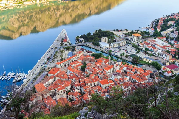Kilátás Fentről Régi Történelmi Város Kotor Narancssárga Csempe Tetők Adriai — Stock Fotó