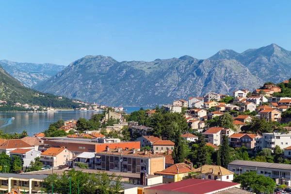 View Old Historical City Kotor Orange Tile Roofs Morning Adriatic — 스톡 사진