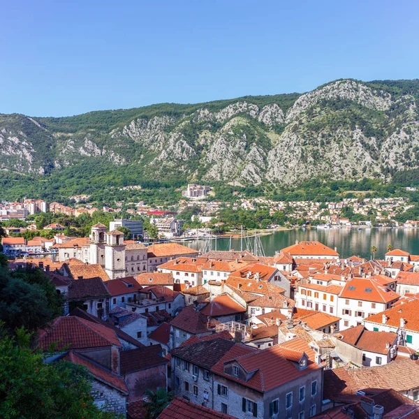 Vista Dall Alto Sulla Vecchia Città Storica Kotor Con Tetti — Foto Stock