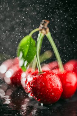 Koyu arkaplanda su damlaları olan taze kırmızı kirazlar, yakın plan görünüm..