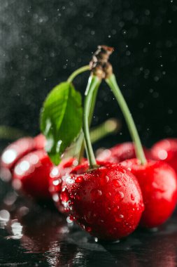 Koyu arkaplanda su damlaları olan taze kırmızı kirazlar, yakın plan görünüm..