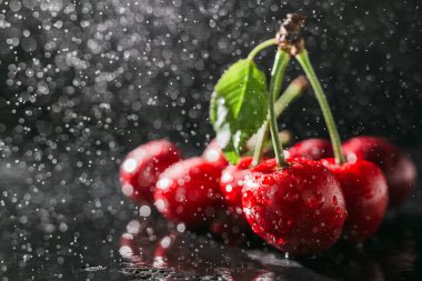 Koyu arkaplanda su damlaları olan taze kırmızı kirazlar, yakın plan görünüm..