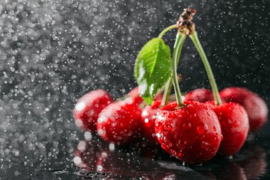 Koyu arkaplanda su damlaları olan taze kırmızı kirazlar, yakın plan görünüm..