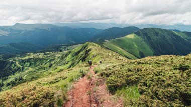 Dağlardaki vahşi doğa manzarası, Karpatlar 'ın manzarası..