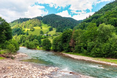 Nehirli Karpat dağlarının manzarası.