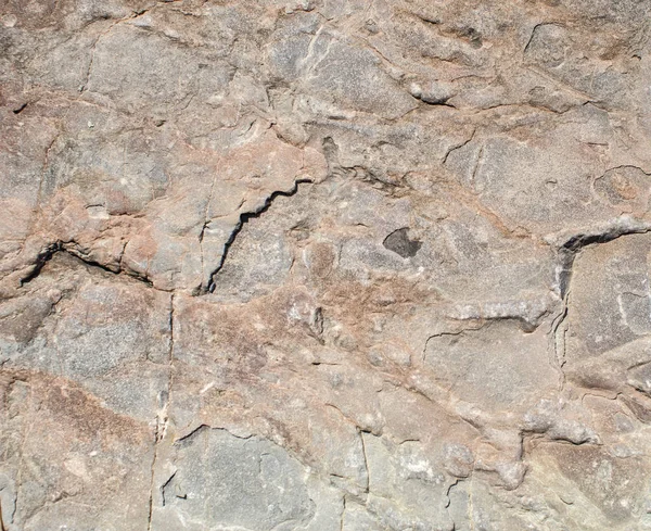 灰色铁锈泥岩特写的背景 — 图库照片