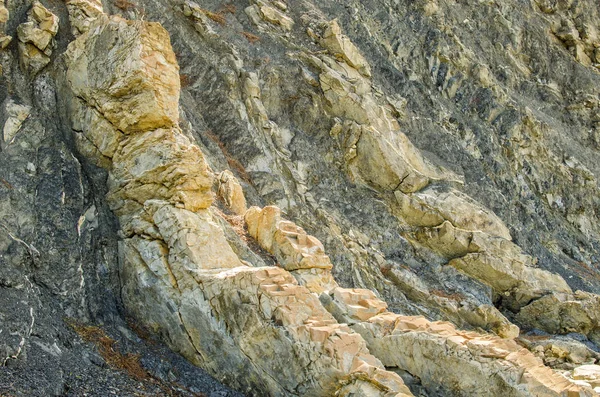 Işık Marl Katmanları Ile Koyu Gri Çamurtaşı Fosillerini — Stok fotoğraf